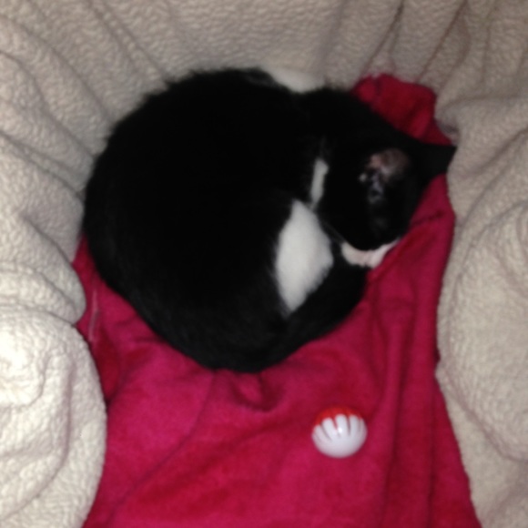 Meet your Posher, Amber - Picture 1 of 1